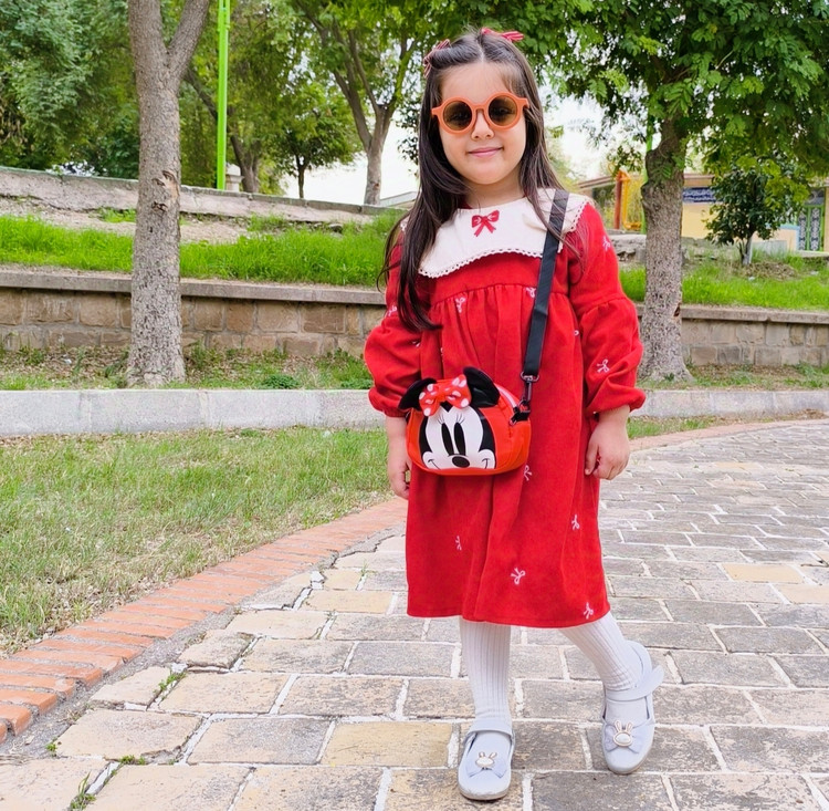 کیف دیزنی میکی موس برزنتی